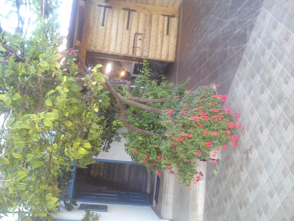 Sućuraj Pansion Ivan מראה חיצוני תמונה