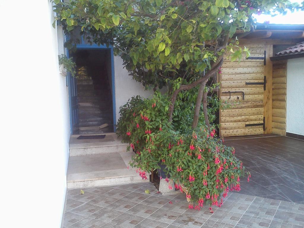 Sućuraj Pansion Ivan מראה חיצוני תמונה